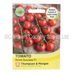 Thompson & Morgan Tomato Sweet Success F1